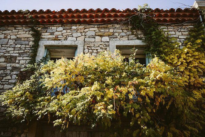 Bertrand Bosc wine and food tour in Pic St Loup - FAQs