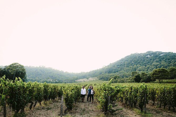 Bertrand Bosc wine and food tour in Pic St Loup - Final Word