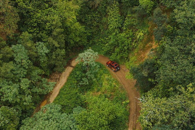 bespoke-adventure-in-madeira-with-pick-up