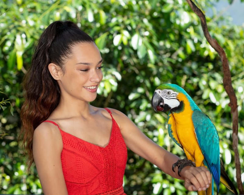 bespoke-birdworld-an-intimate-experience