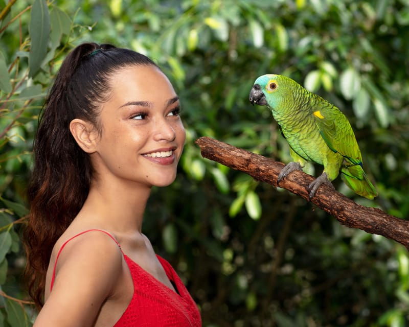 bespoke-birdworld-an-intimate-experience
