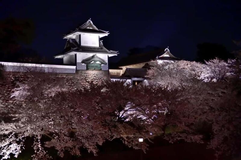 Bespoke Kanazawa Private Night Tour: Local Food & Secrets - Exploring Lighted Streets and Historic Districts