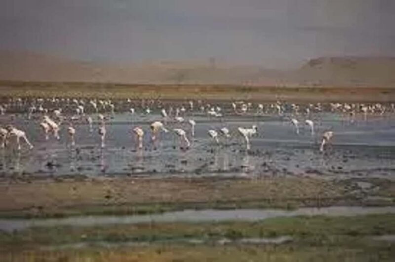 #Best 2-Day Lake Natron With OI Doinyo Lengai Hiking Tour - Key Points
