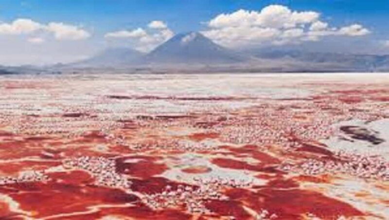 #Best 2-Day Lake Natron With OI Doinyo Lengai Hiking Tour - Who Should Consider This Tour?