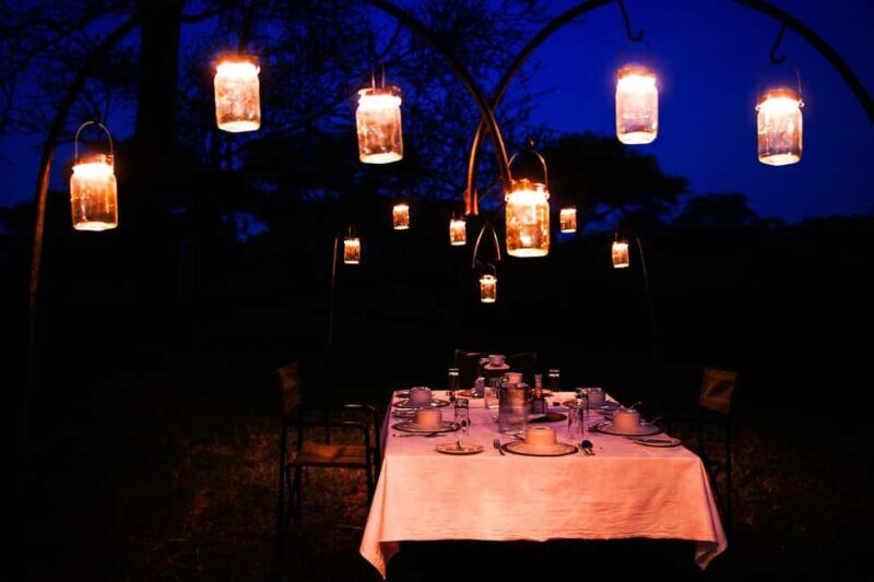 Best 3-Day Christmas Eve Safari to Tarangire and Serengeti - Why This Safari Stands Out