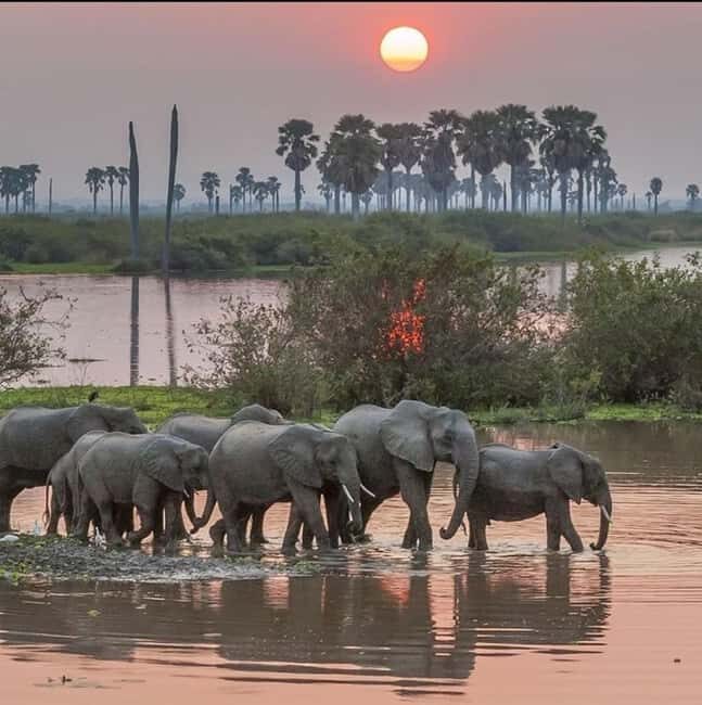 BEST 3-DAY TANZANIA SAFARI TOUR FROM ARUSHA - The Practicalities: What’s Included and What to Expect