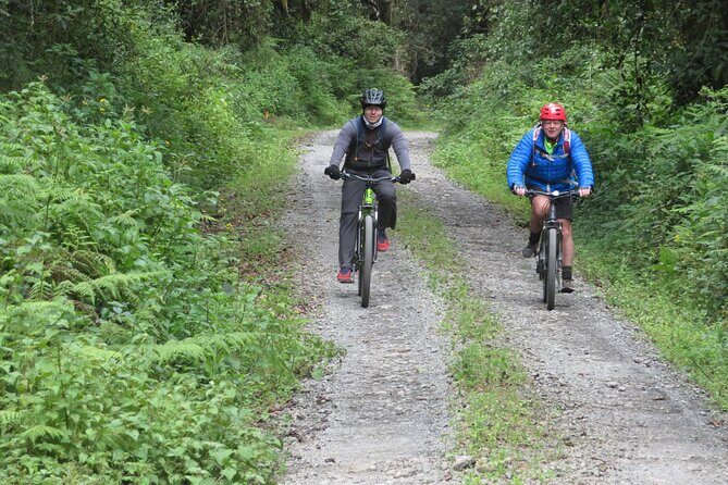 Best 5 Days Kilimanjaro Bike Trek Tour via Marangu Kilema Route - Final Thoughts: Is It Worth It?