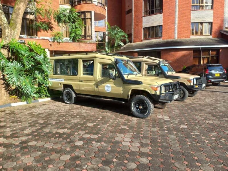 Best 7-Day Private & Luxury Tanzania Safari - Finest Safaris - The Sum Up