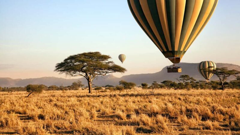 Best 8 Days Serengeti Great Migration, Tanzania Safari Tours - Key Points