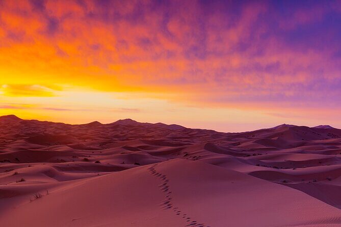 Best 9 Days tour from Casablanca via Desert & Marrakech - A Detailed Look at the 9-Day Morocco Tour