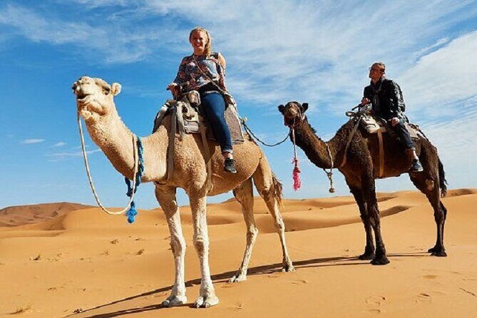 Best 9 Days tour from Casablanca via Desert & Marrakech - Who Will Love This Tour?