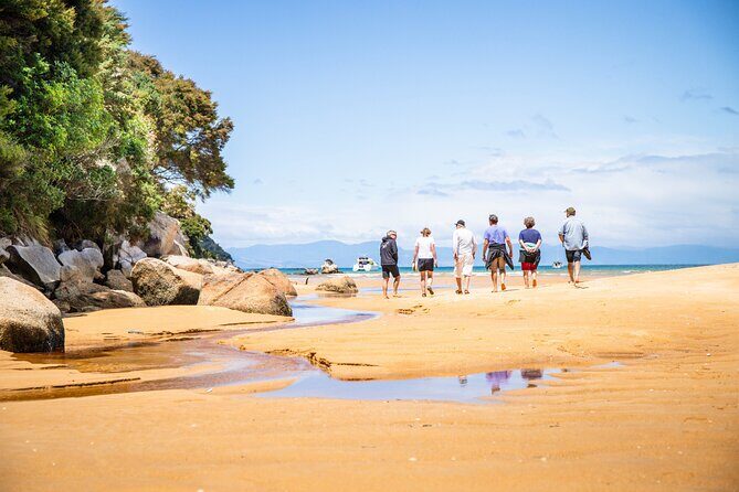 Best Abel Tasman Day trip - A Detailed Look at the Experience