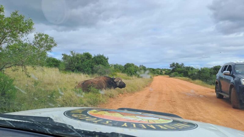 Best Addo Elephant park safari! - Key Points