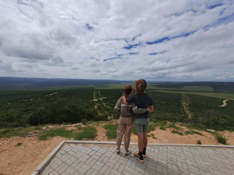 Best Addo Elephant park safari! - Lunch and Relaxation at Jacks Picnic Site