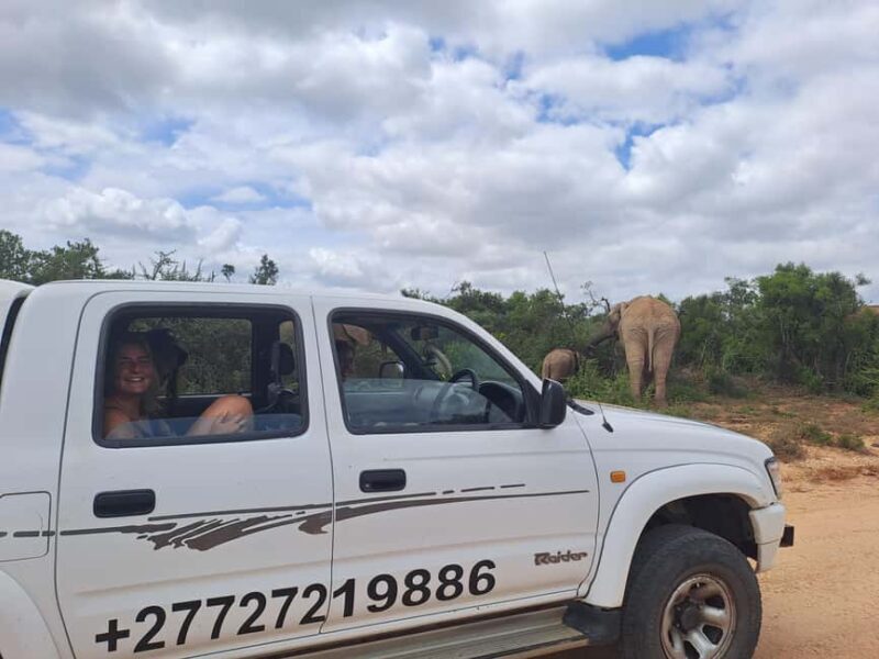 Best Addo Elephant park safari! - Sunset Drive and Scenic Return