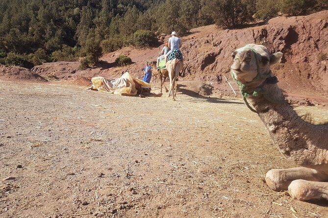 Best Atlas Mountains Experience - Cultural & Multi-Outdoor Activities Excursion - FAQ