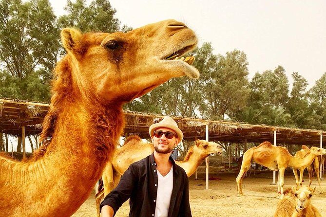 Best Bahrain Tour - Select 1 of 9+ Private & Shared Tours - Final Thoughts