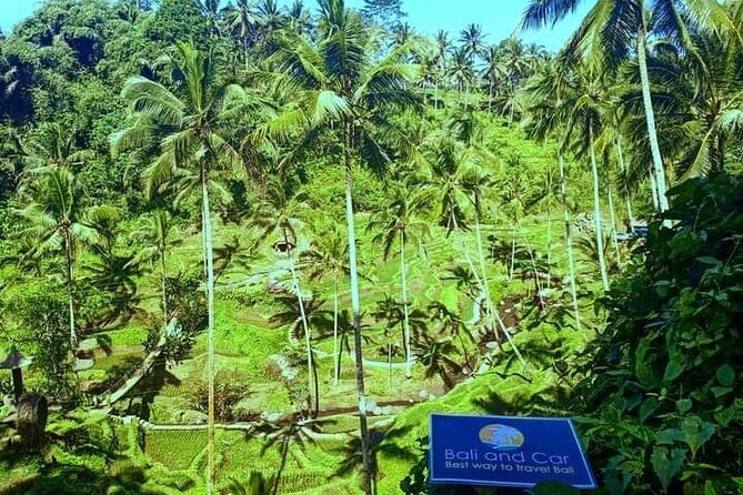 Best bali transport service - custom your own itinerary - Practical Aspects and Tips