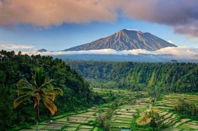 Best bali transport service - custom your own itinerary - The Sum Up