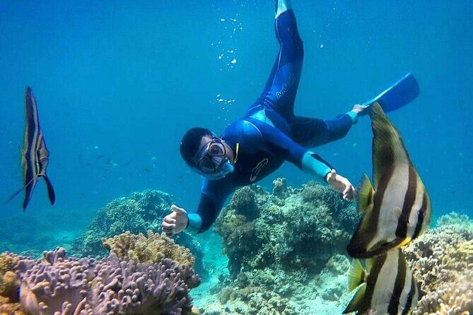 Best Blue Lagoon Snorkeling and Tegenungan Waterfall - Key Points