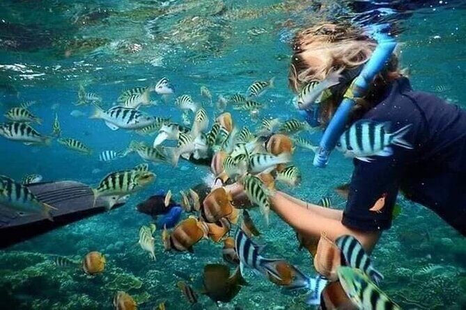 Best Blue Lagoon Snorkeling and Tegenungan Waterfall - Authentic Traveler Insights
