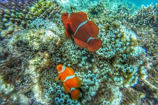 Best Blue Lagoon Snorkeling and Tegenungan Waterfall - Final Thoughts: Who Is This Tour Best For?