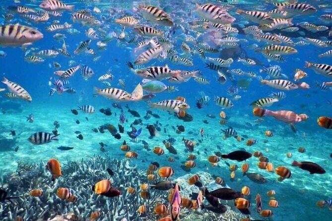 Best Blue Lagoon Snorkeling and Tegenungan Waterfall - FAQs