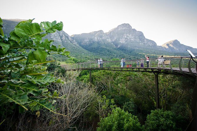 Best Cape Point/Cape of Goodhope/Penguins/Kirstenbosch - FAQ