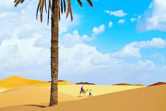 Best Casablanca Desert Trips - Key Points