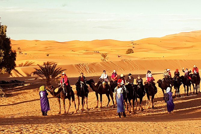 Best Casablanca Desert Trips - Who Should Consider This Tour?