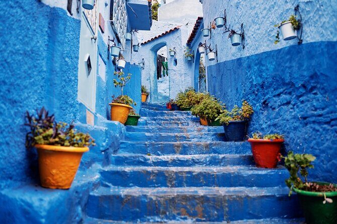 Best Chefchaouen Day Tour from Fez - Key Points
