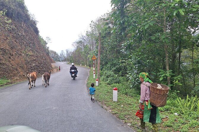 Best Choice Ha Giang Loop Car 5 Days 4 Nights Package Tour - Detailed Tour Breakdown