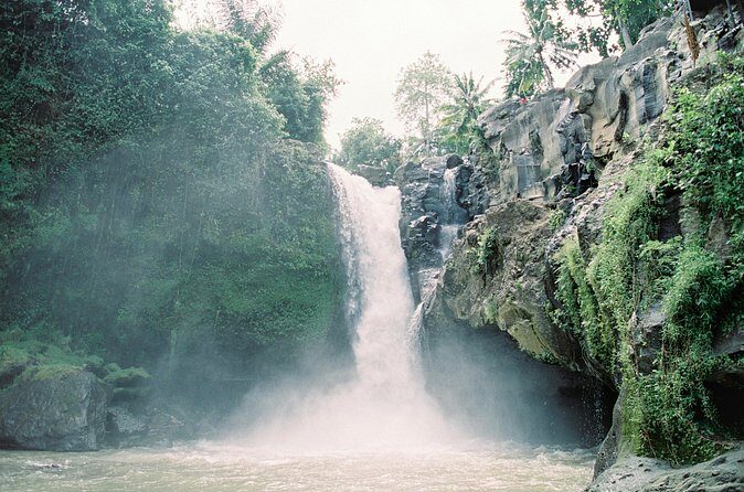 Best Day Tour - #1 Ubud Top Attraction - Who This Tour Is Best For