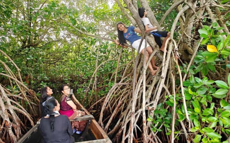 Best Day Tour from Trivandrum to Ashtamudi Lake Backwaters - An Insightful Look at the Itinerary and Experience