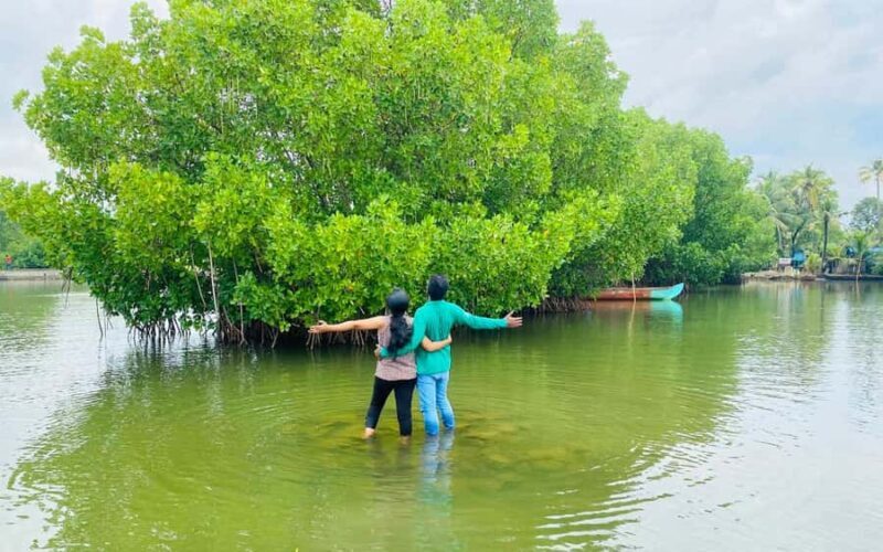 Best Day Tour from Trivandrum to Ashtamudi Lake Backwaters - Final Thoughts: Is This Tour Worth It?