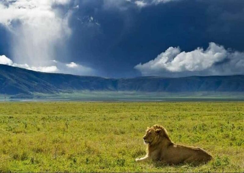 Best Day tour to Ngorongoro Crater-ISMANI TOURS AND SAFARIS - What to Expect on the Ngorongoro Day Trip with Ismani Tours and Safaris