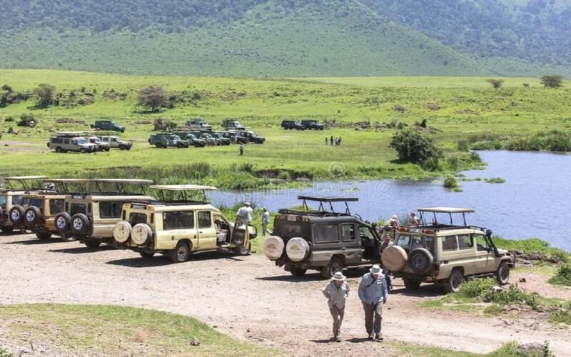 Best Day tour to Ngorongoro Crater-ISMANI TOURS AND SAFARIS - Is This Tour Worth It? Analyzing the Value
