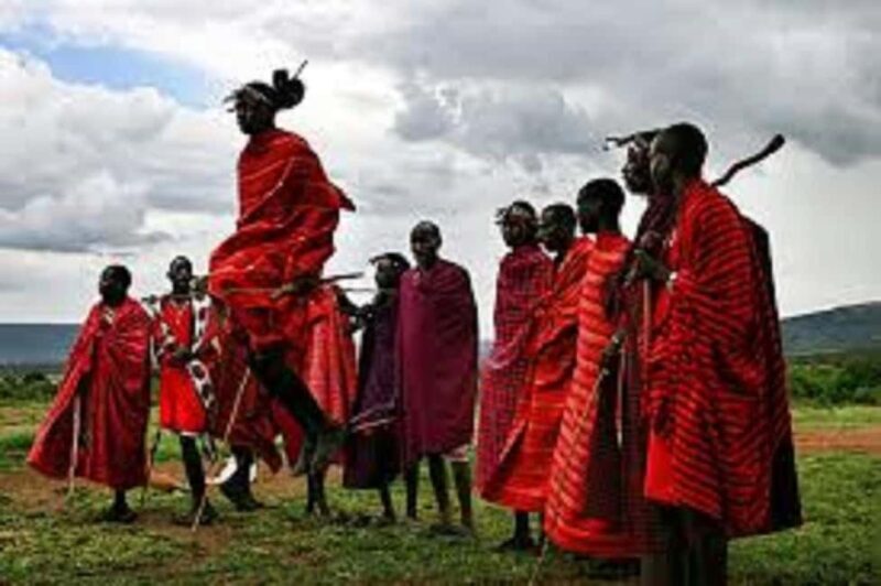 Best Day Trip to Maasai Village & Chemka Hot Springs - Key Points