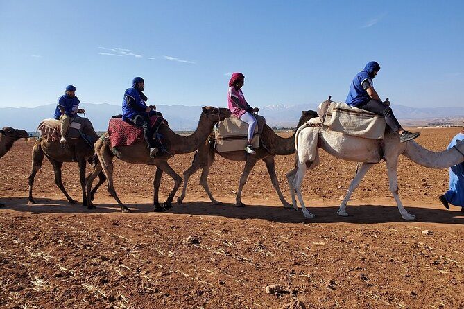 Best, Day trip to the Atlas Mountains, Camel ride, waterfalls, from Marrakech - The Sum Up