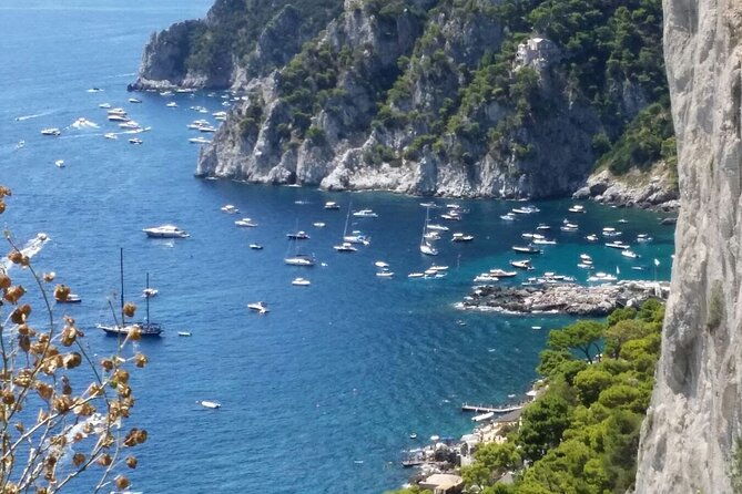 best-daytrip-from-rome-to-capri-deluxe-car-private-guide-more