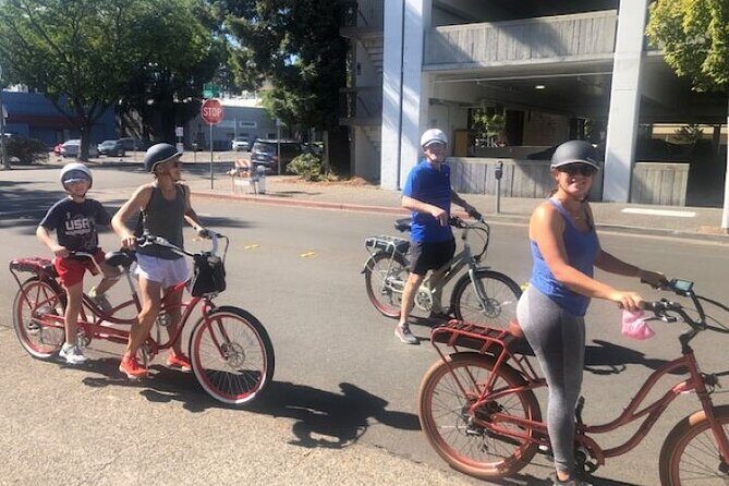 Best E-Bike Rental! Wine country fun - Who Will Love This Experience?