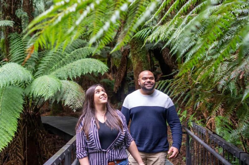 Best Great Ocean Road & 12 Apostles - Multilingual Languages - The Itinerary: What You Can Expect