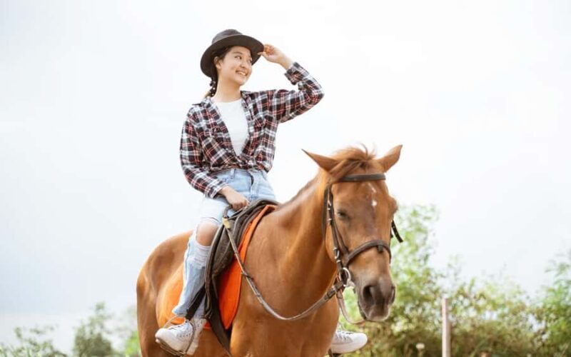 Best Horse Riding Safari Tour from Bangalore - The Details of the Tour