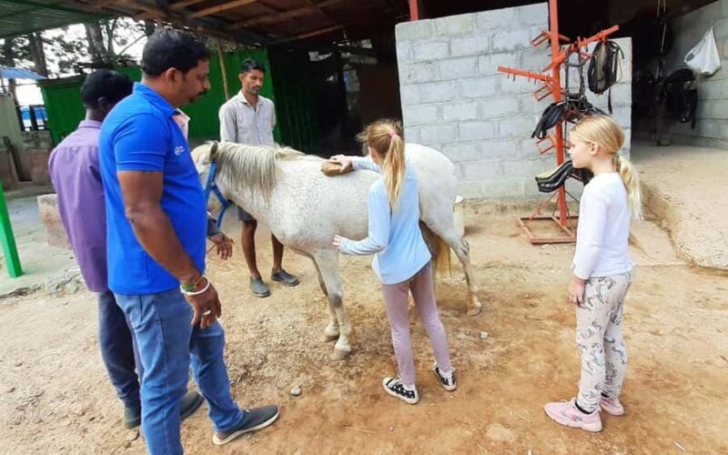 Best Horse Riding Safari Tour from Bangalore - FAQ