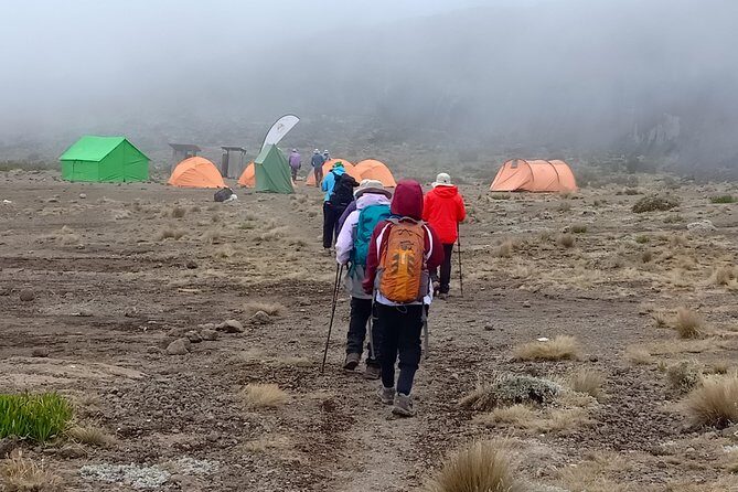 Best Kilimanjaro Adventure 7 days Machame route Trekking - What Sets This Tour Apart: What You Should Know