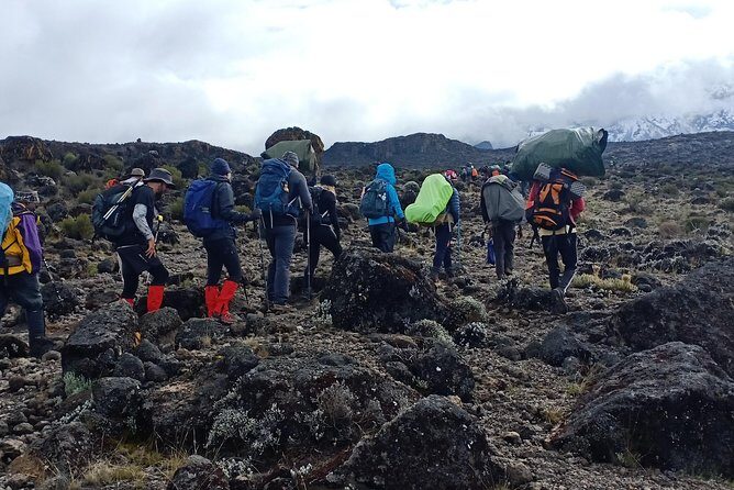 Best Kilimanjaro Adventures 6 Days Marangu Route Experience - Considerations and Potential Drawbacks