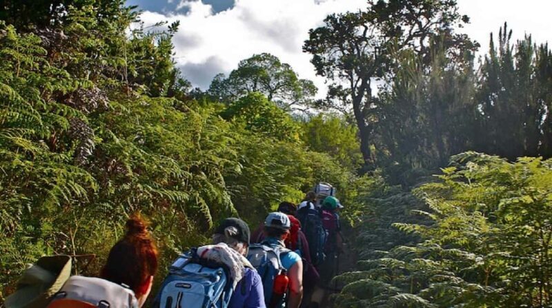 Best Kilimanjaro Hike- 1 Day Rongai Route - Key Points