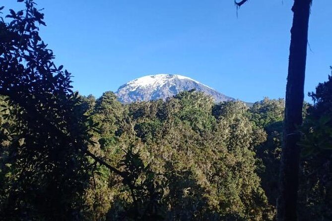 Best Kilimanjaro hiking day trip tour with Kilinge Adventures - An Authentic Taste of Kilimanjaro’s Rainforest in a Day