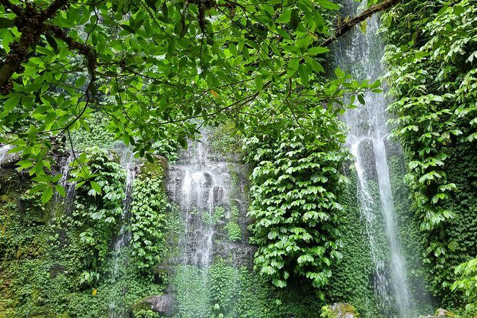 Best Lombok Monkey Forest with Benang Kelambu Waterfall - Who Should Book This Tour?