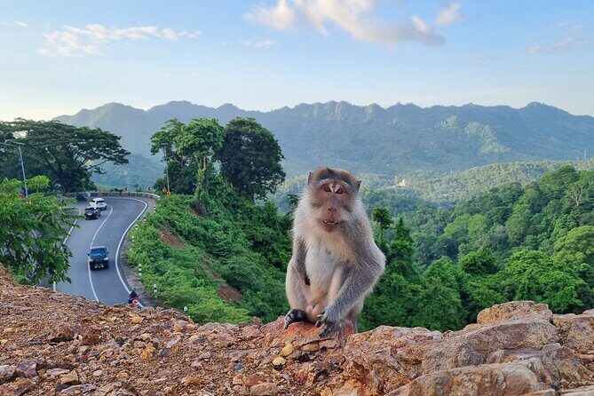 Best Lombok Rice Terrace Walking Tour With Waterfall & Monkey - Who Will Love This Tour?